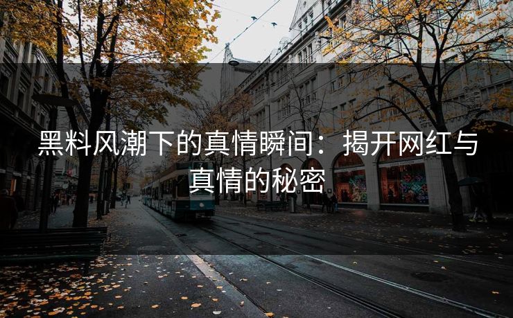 黑料风潮下的真情瞬间:揭开网红与真情的秘密 黑料风潮下的真情瞬间:揭开网红与真情的秘密